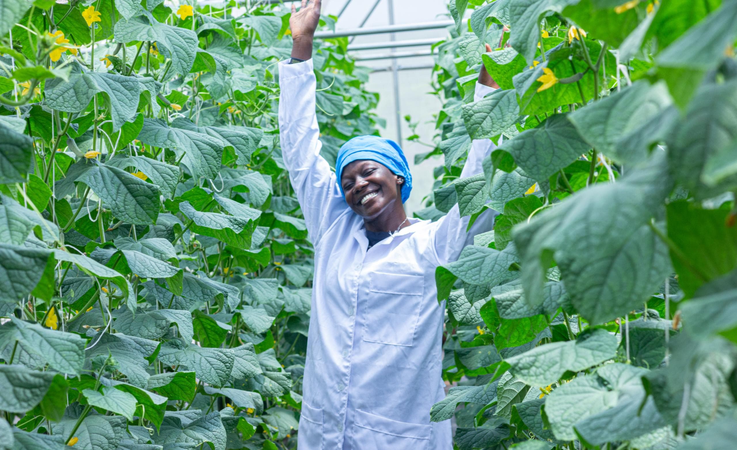 BSF Larvae Production